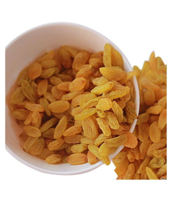 Premium Seedless GOLDEN RAISINS ( KISHMISH ). Rich in Iron & Vitamin B
