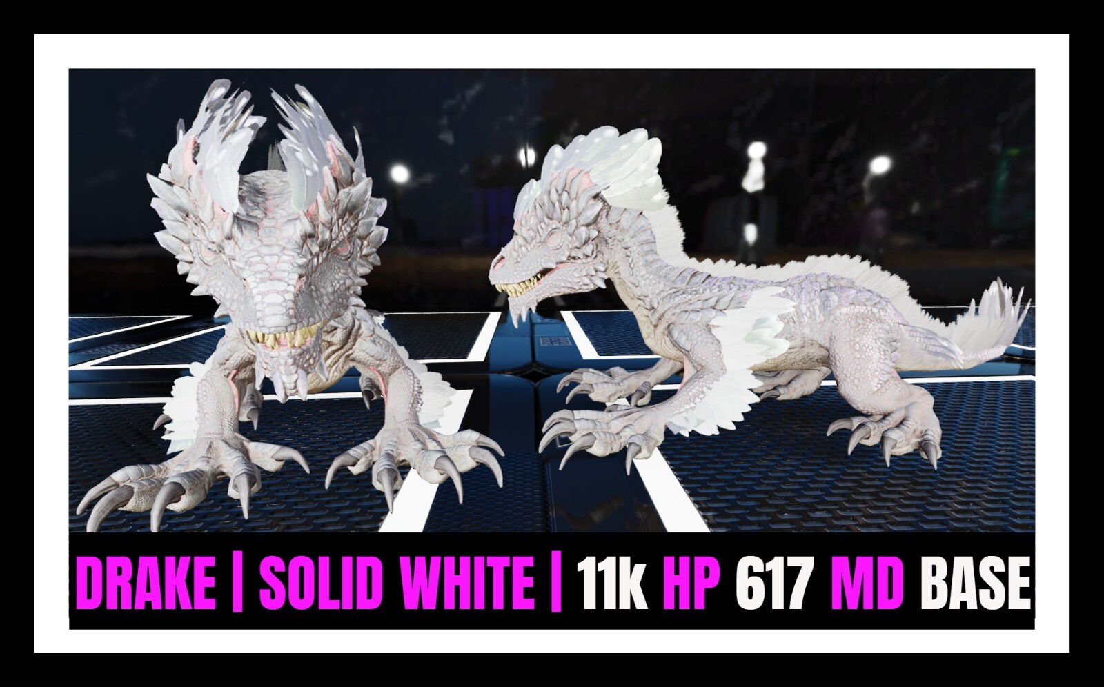 ARK-705 SHIELD 伯耆守J◎5 61V+jMO6-jL._UF350,350_QL80_.jpg