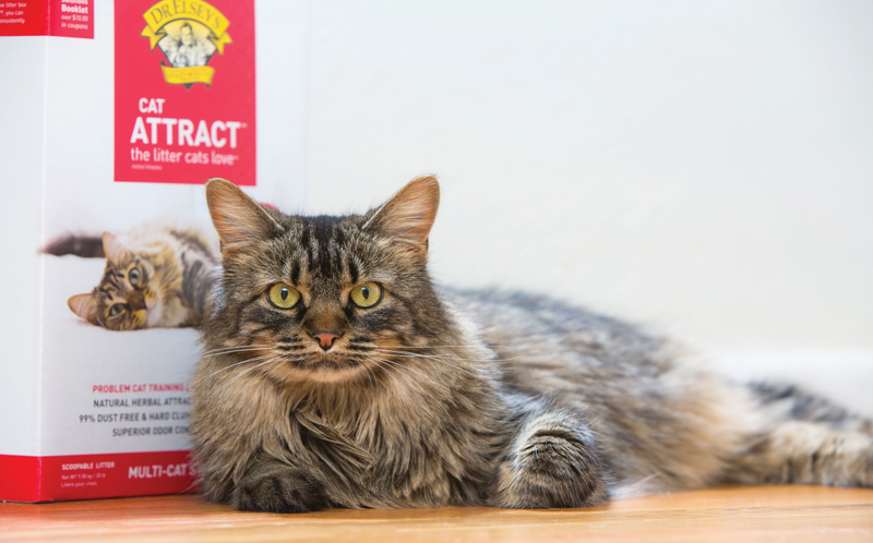 Dr. Elsey'S Precious Cat Attract Clumping Clay Cat Litter, 20 Lb. Box