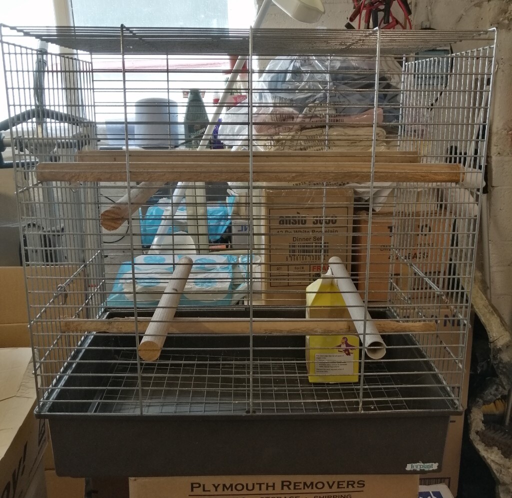 Bird cage (Rectangular) in Plymouth, Devon Gumtree