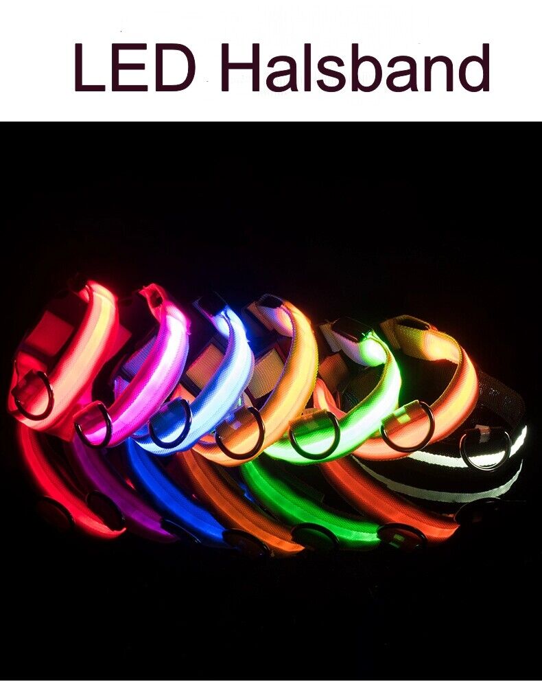 Hunde Halsband LED Leuchthalsband