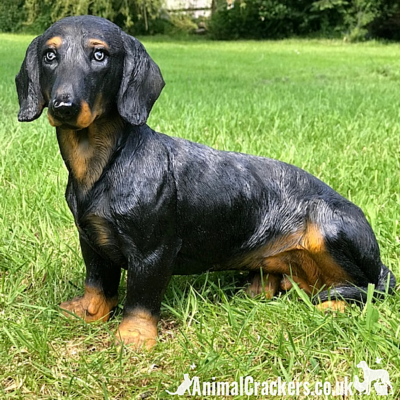 Dachshund gifts hotsell for dog lovers