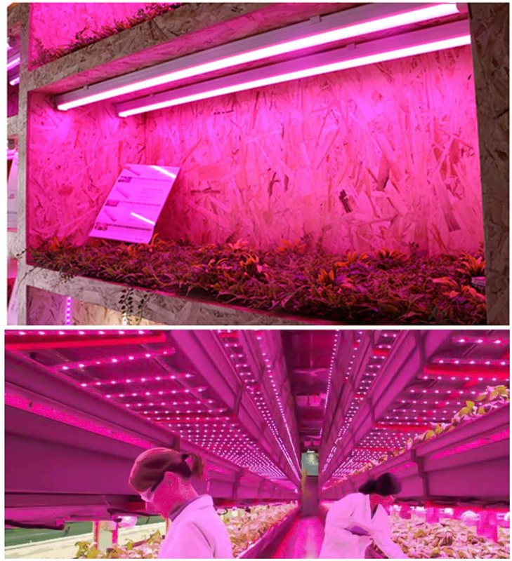 T5 Grow Lights 4Ft, LED Plant Grow Light, 120W 6 X 20W, LED Grow Light