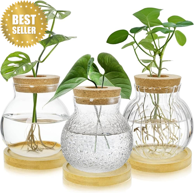 3-Piece Plant Propagation Station, Desktop Miniature Plant Landscape, Hydroponic