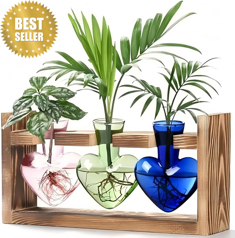 Plant Terrarium with Wooden Stand,Colorful Heart-Shaped Transparent Glass Contai