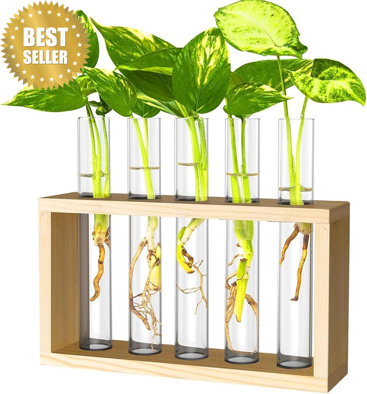 Wall Mounted Glass Planter