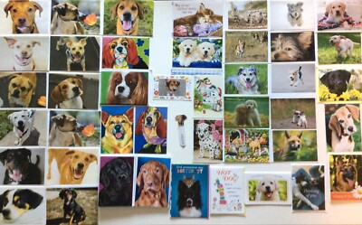 MASSIVE DOG Stationary *Lot of 73*