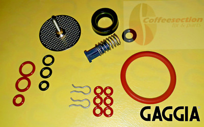 Gaggia, Saeco Parts Set Titanium, Titanium plus, Magic, Incanto - Repair Kit
