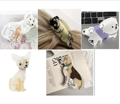 Poodle sales bichon chihuahua