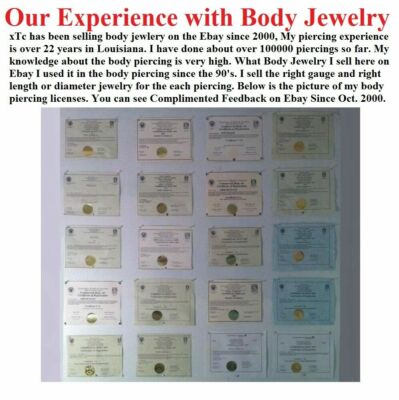 TINY TINY TINY 0.9mm PRONG SET CZ SMALLEST GEM 22g Sterilized Nose "L" Stud.