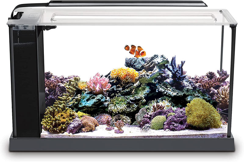 Fluval Sea Evo V Saltwater Fish Tank Aquarium Kit, Black, 5 Gal, 10528A1 Good qu