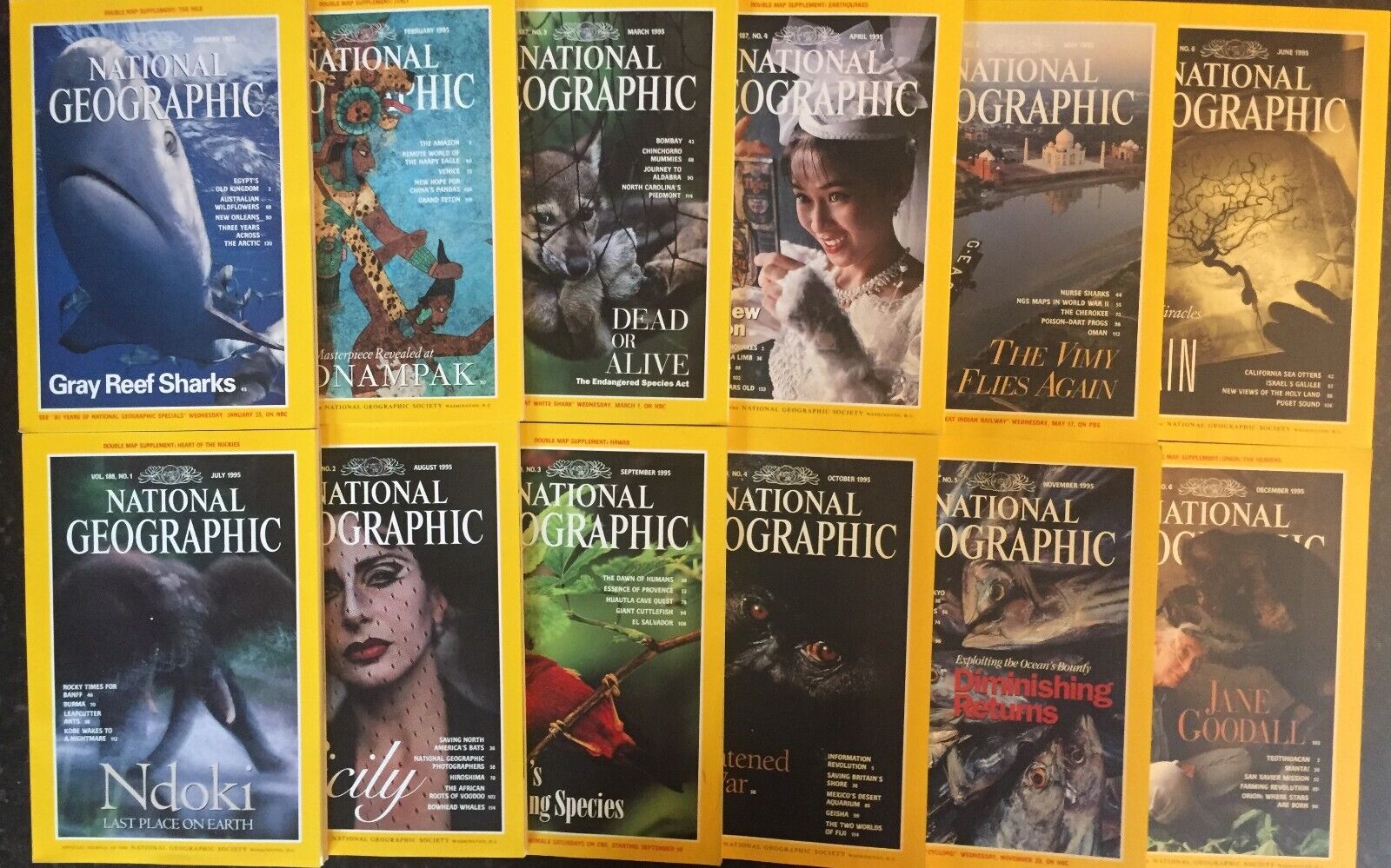 National Geographic Magazine 1995 All 12 Issues | eBay National Geographic Magazine 1995 All 12 Issues | eBay