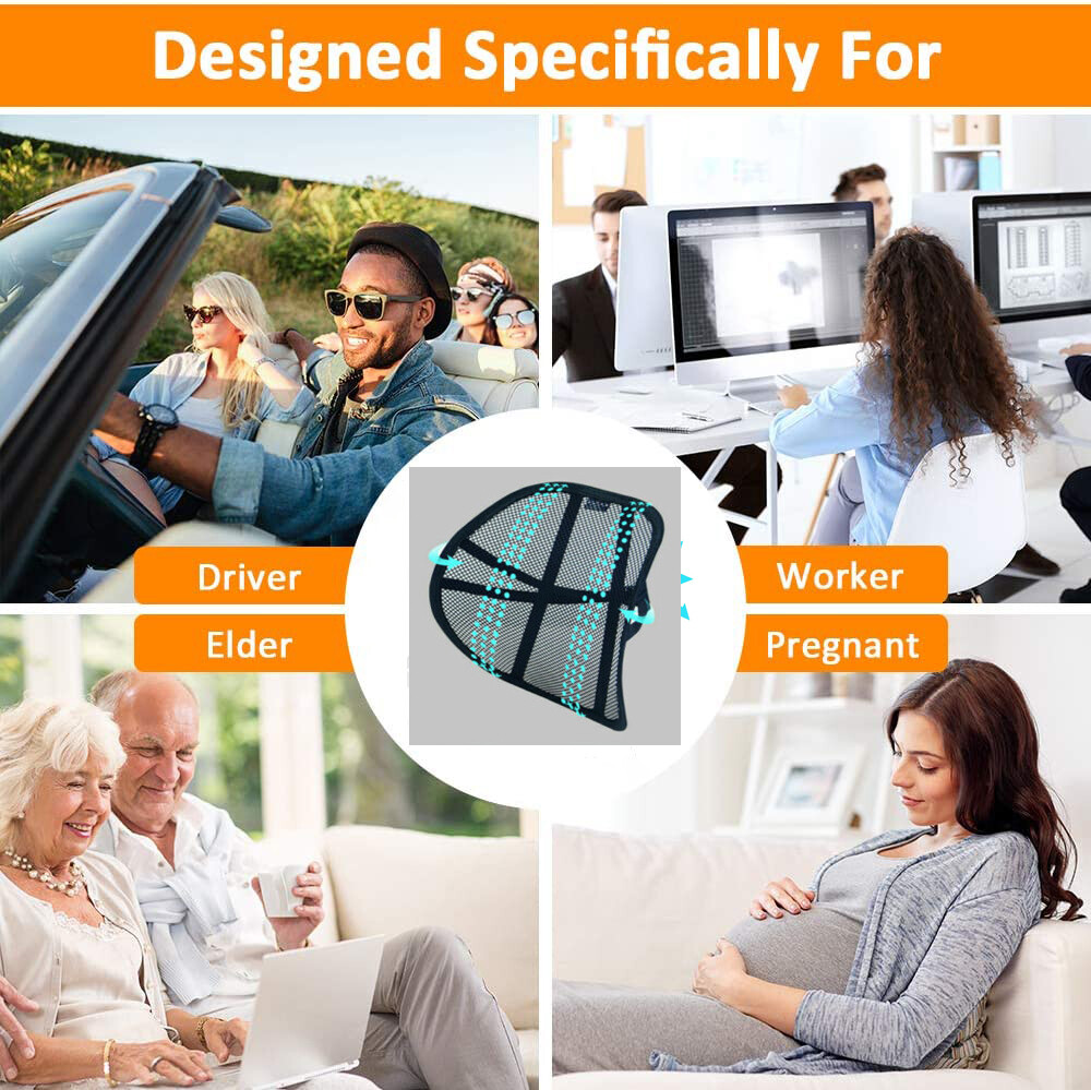 Big Ant Mesh Back Lumbar Support Office Chair Car Lumbar Support Pain Relief