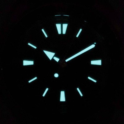 Pre-owned Seiko Prospex Tortoise Land Edition Automatic Divers 200m Mens Watch Srpg18k1