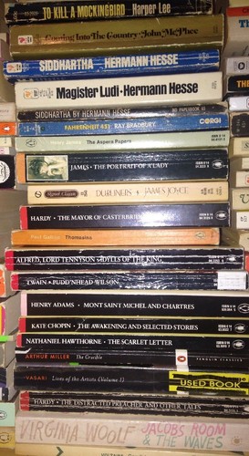 Choose / Pick 12 From 150 Books Build Classic Literature Book Lot Free Shipping