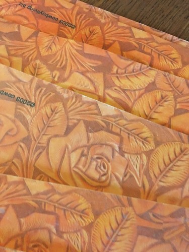 Lot Of 10 Western Placemats Rosettes Vinyl easy wipe clean