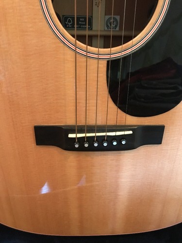 Martin & Co OMC-16E Orchestra Acoustic/Electric Guitar With Case & Strap