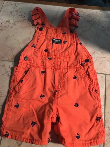 Boys Shorts Lot Size 24m - 2T Oshkosh Bib Shorts Timberland Gymboree Nike More