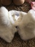 Assortment Of Build A Bear Accessories Including Boots, Pink Purse