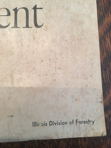 SMOKEY THE BEAR POSTER Prevent Forest Fires  1965 13x18.5”