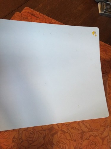 Lot Of 10 Western Placemats Rosettes Vinyl easy wipe clean