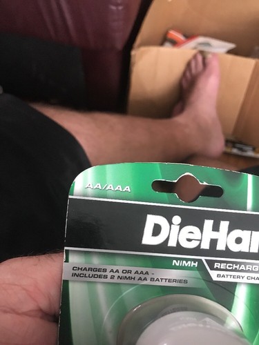 DieHard Rechargable BatteryCharger. plus 2 AA High Capacity Rechargeable.AA/AAA