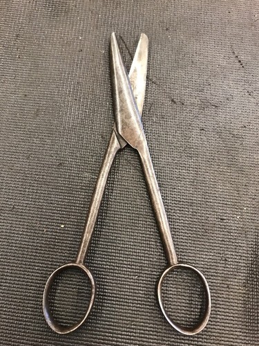 Vintage Scissors Lot Of Two With One Carrying Case!!!