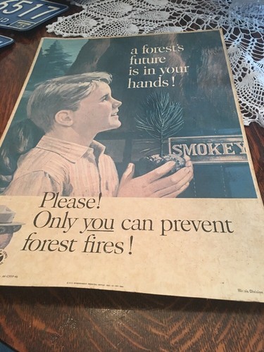 SMOKEY THE BEAR POSTER Prevent Forest Fires  1965 13x18.5”