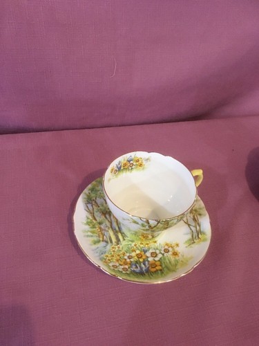 SHELLEY FINE BONE CHINA ENGLAND CUP & SAUCER - DAFFODIL TIME - 13370    3