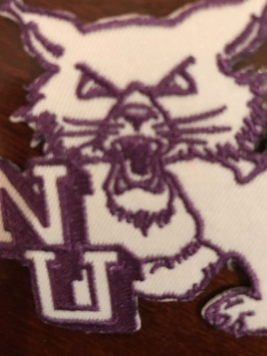 NorthWestern University Wildcats Vintage Embroidered Iron On Patch 2.5" X 3.5"