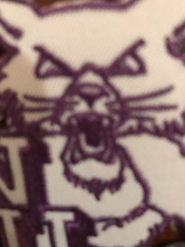 NorthWestern University Wildcats Vintage Embroidered Iron On Patch 2.5" X 3.5"