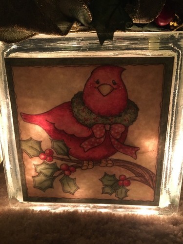 Holiday Cardinal Christmas Glass Block Lamp Gift Festive Cute Homemade