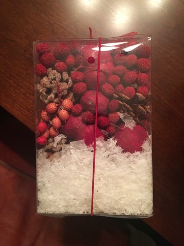 Pottery Barn Snow Currant Potpourri