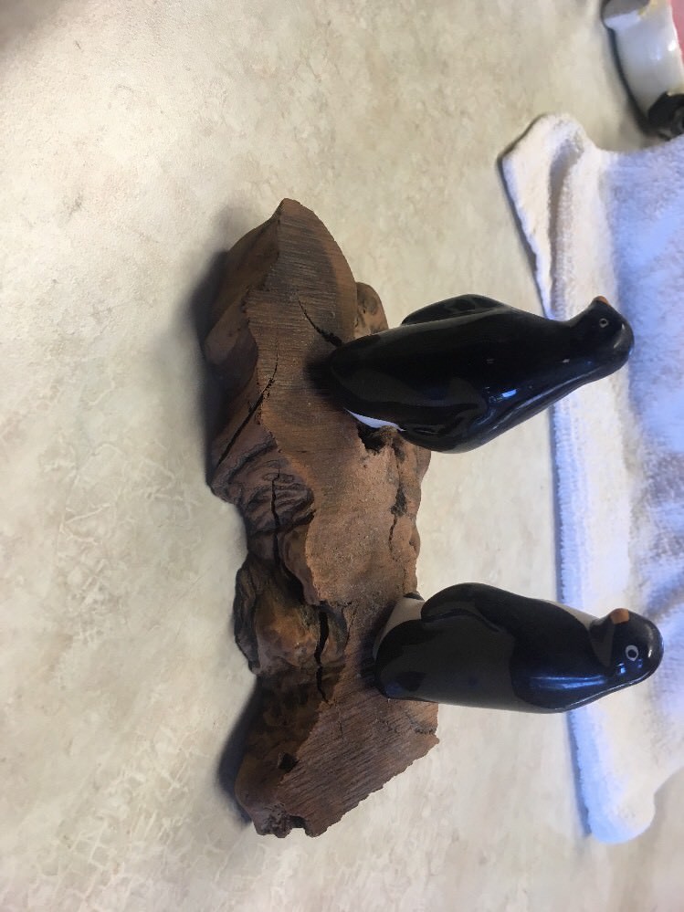 Penguins On A Rock