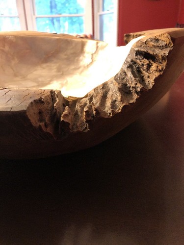 HUGE Teak Root Wood Bowl Fossil Dish Hand Crafted Capiz Pearl Shell inlay 16”x5”