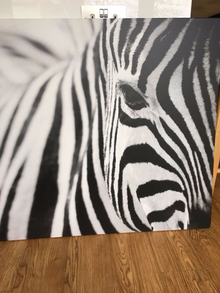 Large Ikea Zebra Canvas Print Picture Photo Great Condition in