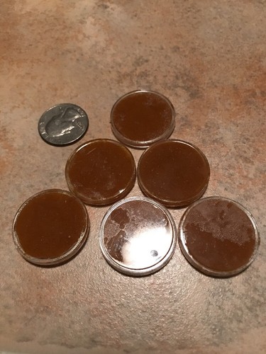 Honeybee Swarm Lure For hive bait box trap  Quality 6