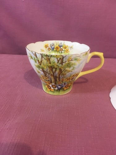 SHELLEY FINE BONE CHINA ENGLAND CUP & SAUCER - DAFFODIL TIME - 13370    3
