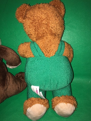 2 Khol’s Cares Bear You Can Do It Sam Red Scarf & Corduroy Green Overalls Plush
