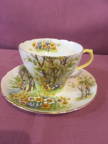 SHELLEY FINE BONE CHINA ENGLAND CUP & SAUCER - DAFFODIL TIME - 13370    3