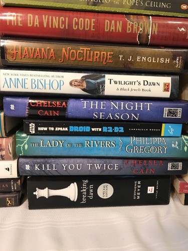 Lot 50 Books 16 Harcover 33 Paperback 1Audio Fiction Fantasy Young Adult History