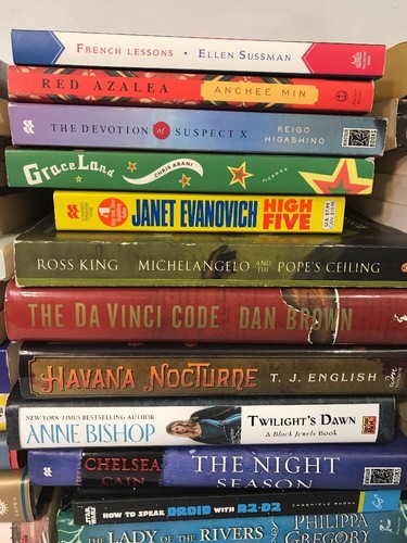 Lot 50 Books 16 Harcover 33 Paperback 1Audio Fiction Fantasy Young Adult History