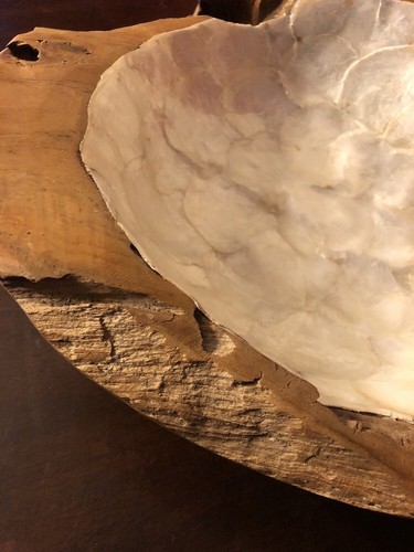 HUGE Teak Root Wood Bowl Fossil Dish Hand Crafted Capiz Pearl Shell inlay 16”x5”