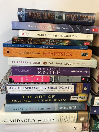 Lot 50 Books 16 Harcover 33 Paperback 1Audio Fiction Fantasy Young Adult History