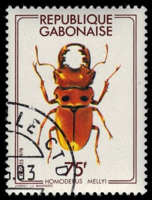 gabon 406 (mi664) - goliath beetle (pf69212)