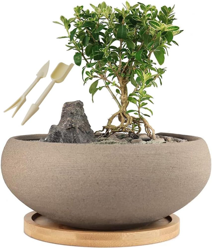 round Unglazed Ceramic Bonsai Pot with Bamboo Tray, Large Rough Pottery Succulen
