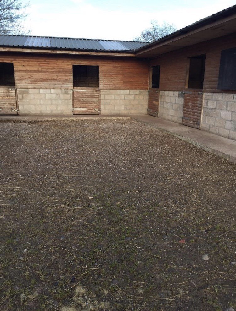 Horse Stables and Grazing in Forfar, Angus Gumtree