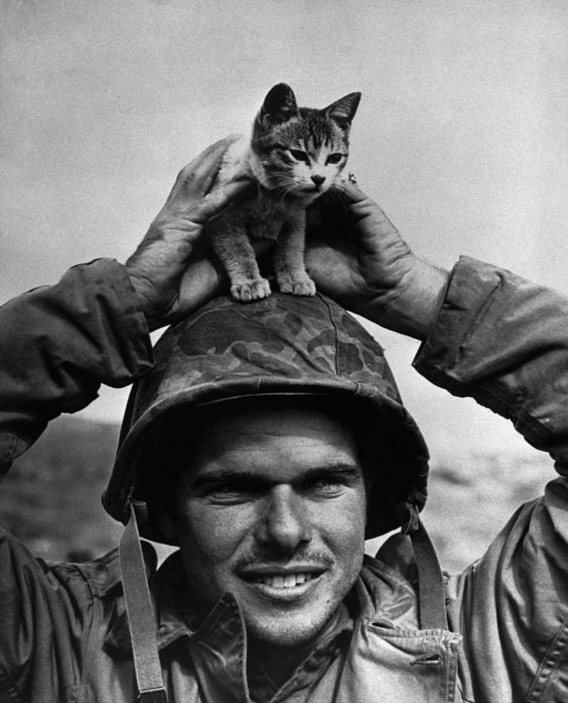 硫黄島 砂Iwo Jima 3セント切手＆記念小瓶 セット 米軍 WWII 1945 年の硫黄島海兵隊の 3 セント切手 10 枚。ビンテージの未