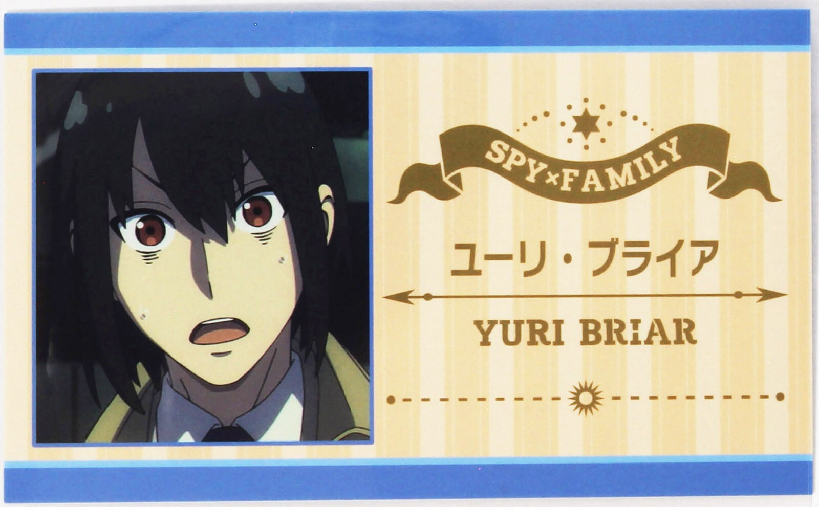 SPY×FAMILY ユーリ まとめ売り Spy × Family Name Card Yuri Briar Type B Japanese Character