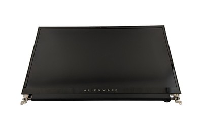 Dell DD4YY 17.3-inch Non-Touch LCD Screen Assembly